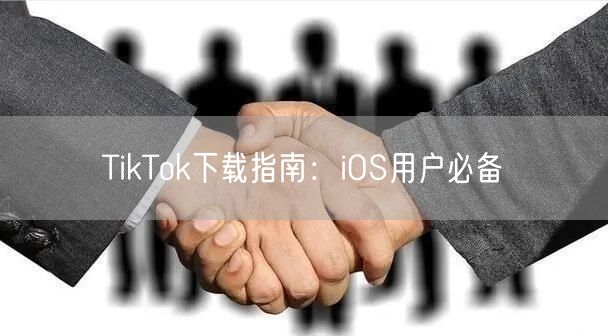 TikTok下载指南:iOS用户必备
