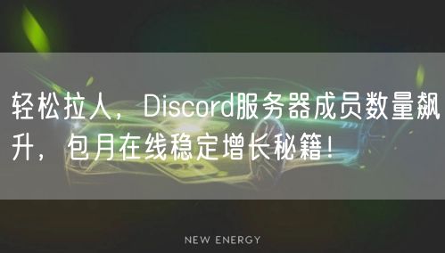 轻松拉人，Discord服务器成员数量飙升，包月在线稳定增长秘籍！