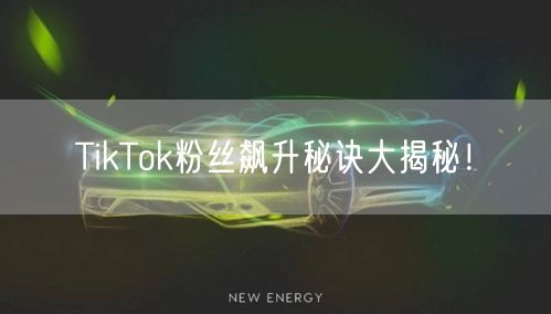 TikTok粉丝飙升秘诀大揭秘!