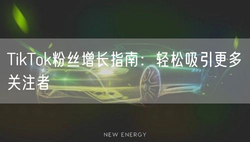 TikTok粉丝增长指南:轻松吸引更多关注者