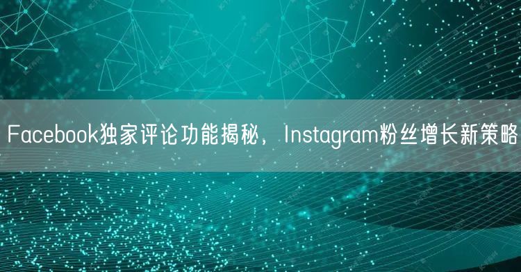 Facebook独家评论功能揭秘,Instagram粉丝增长新策略