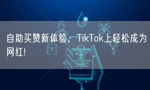 自助买赞新体验,TikTok上轻松成为网红!