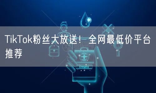 TikTok粉丝大放送!全网最低价平台推荐