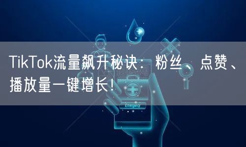 TikTok流量飙升秘诀:粉丝、点赞、播放量一键增长!