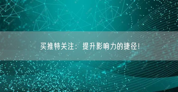 买推特关注:提升影响力的捷径!