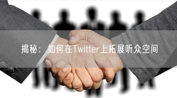 揭秘:如何在Twitter上拓展听众空间