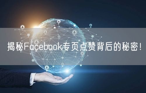 揭秘Facebook专页点赞背后的秘密!