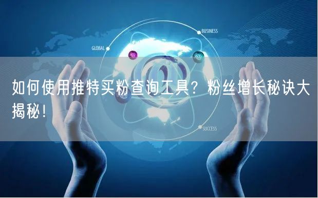 如何使用推特买粉查询工具？粉丝增长秘诀大揭秘！