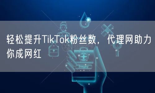 轻松提升TikTok粉丝数,代理网助力你成网红