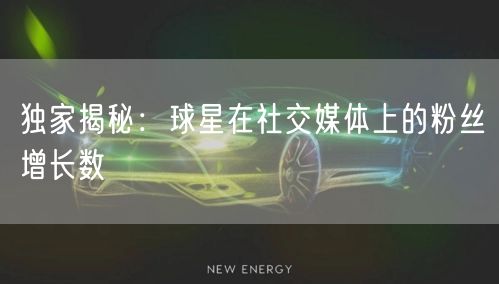 独家揭秘:球星在社交媒体上的粉丝增长数