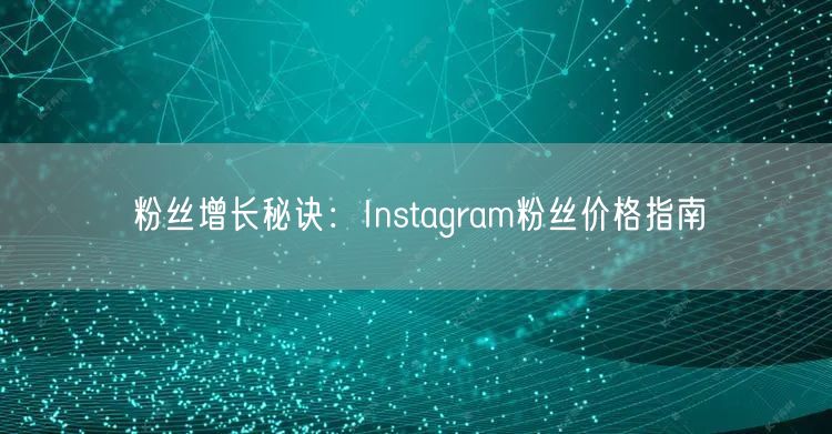 粉丝增长秘诀:Instagram粉丝价格指南