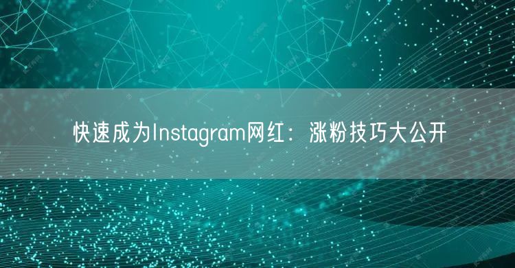 快速成为Instagram网红:涨粉技巧大公开