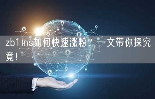 zb1ins如何快速涨粉?一文带你探究竟!