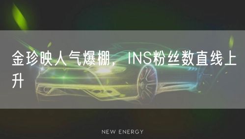 金珍映人气爆棚,INS粉丝数直线上升