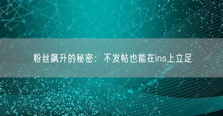 粉丝飙升的秘密:不发帖也能在ins上立足