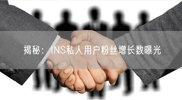 揭秘：INS私人用户粉丝增长数曝光