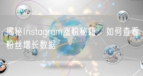 揭秘Instagram涨粉秘籍:如何查看粉丝增长数据