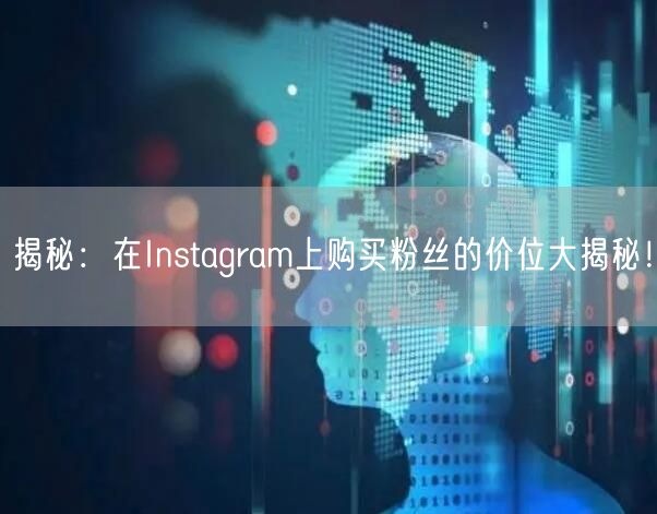 揭秘:在Instagram上购买粉丝的价位大揭秘!