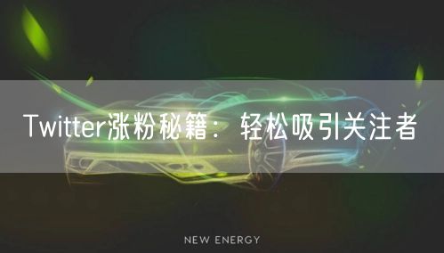 Twitter涨粉秘籍：轻松吸引关注者