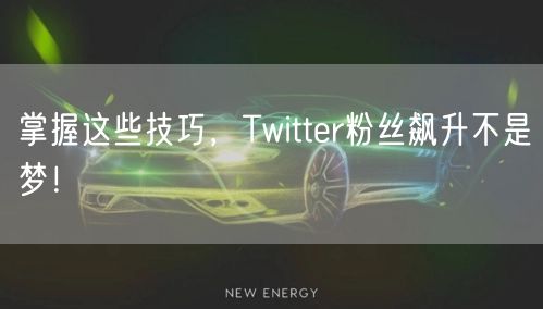 掌握这些技巧,Twitter粉丝飙升不是梦!