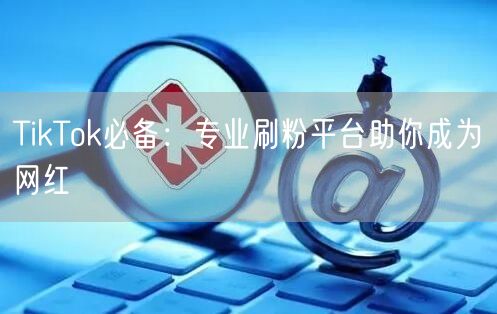 TikTok必备:专业刷粉平台助你成为网红