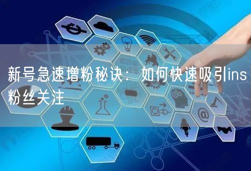 新号急速增粉秘诀:如何快速吸引ins粉丝关注