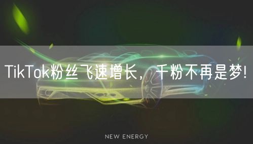 TikTok粉丝飞速增长,千粉不再是梦!