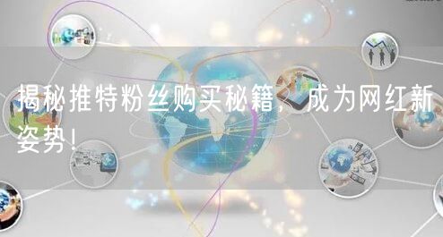 揭秘推特粉丝购买秘籍，成为网红新姿势！