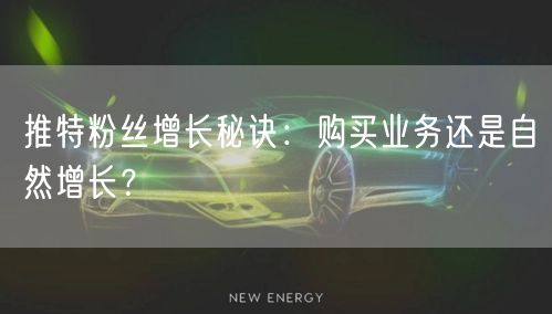 推特粉丝增长秘诀:购买业务还是自然增长?