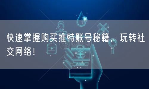 快速掌握购买推特账号秘籍,玩转社交网络!