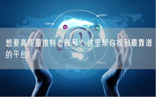 想要高质量推特老账号?这里帮你找到最靠谱的平台!