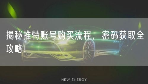 揭秘推特账号购买流程，密码获取全攻略！