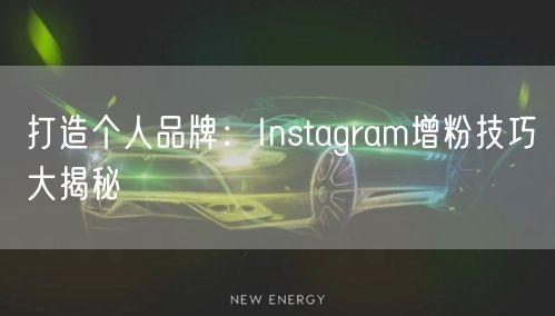 打造个人品牌:Instagram增粉技巧大揭秘