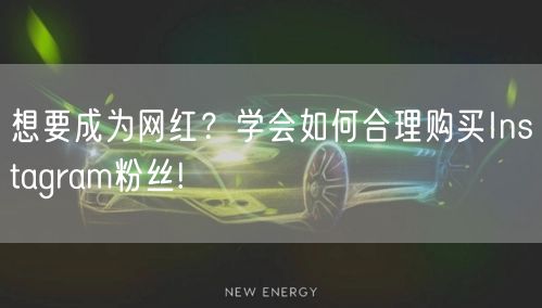 想要成为网红?学会如何合理购买Instagram粉丝!