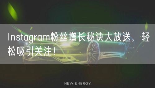 Instagram粉丝增长秘诀大放送,轻松吸引关注!