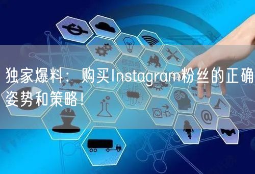 独家爆料:购买Instagram粉丝的正确姿势和策略!