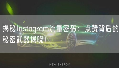 揭秘Instagram流量密码：点赞背后的秘密武器揭晓！