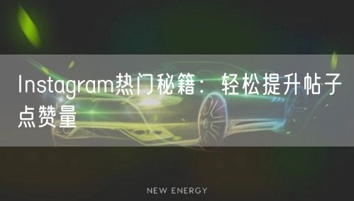 Instagram热门秘籍:轻松提升帖子点赞量