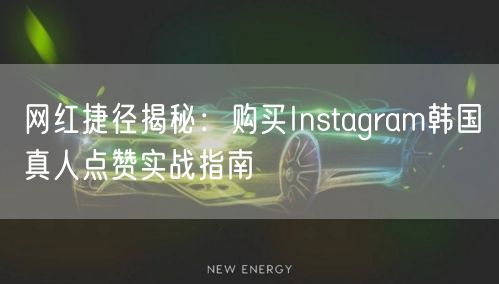 网红捷径揭秘：购买Instagram韩国真人点赞实战指南
