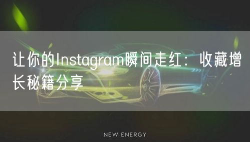让你的Instagram瞬间走红:收藏增长秘籍分享