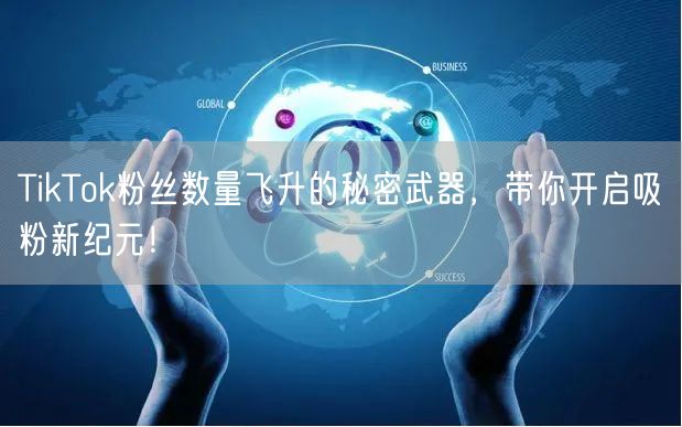 TikTok粉丝数量飞升的秘密武器,带你开启吸粉新纪元!
