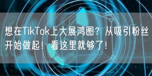 想在TikTok上大展鸿图?从吸引粉丝开始做起!看这里就够了!