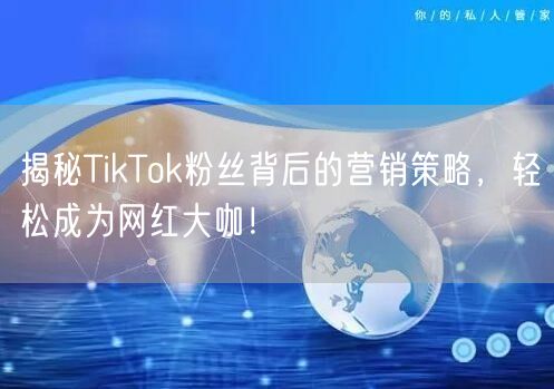 揭秘TikTok粉丝背后的营销策略,轻松成为网红大咖!