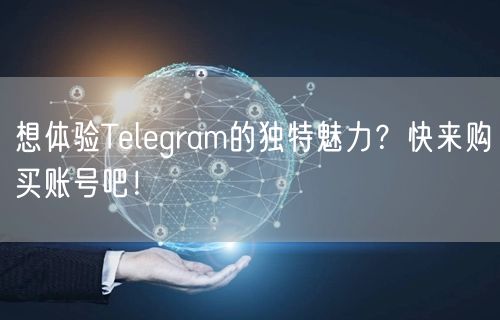 想体验Telegram的独特魅力?快来购买账号吧!