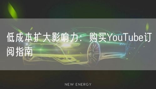 低成本扩大影响力:购买YouTube订阅指南
