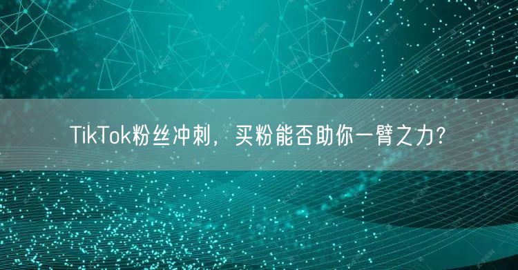 TikTok粉丝冲刺,买粉能否助你一臂之力?