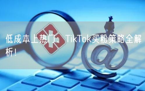 低成本上热门:TikTok买粉策略全解析!