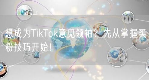 想成为TikTok意见领袖?先从掌握买粉技巧开始!