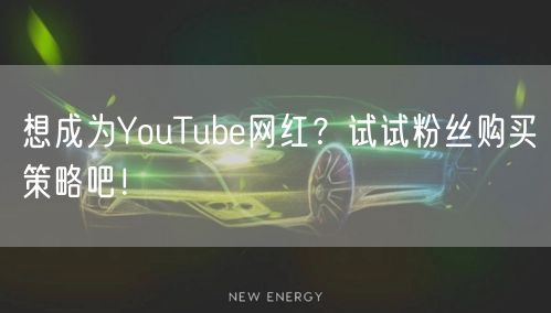 想成为YouTube网红？试试粉丝购买策略吧！