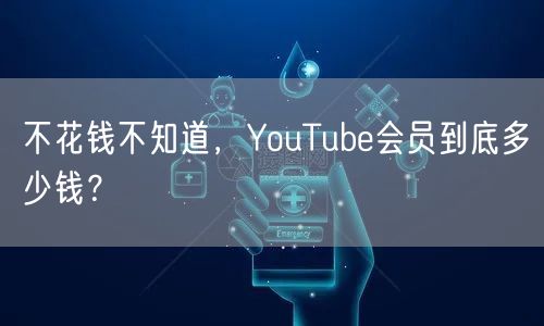 不花钱不知道，YouTube会员到底多少钱？